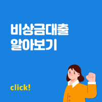 비상금대출